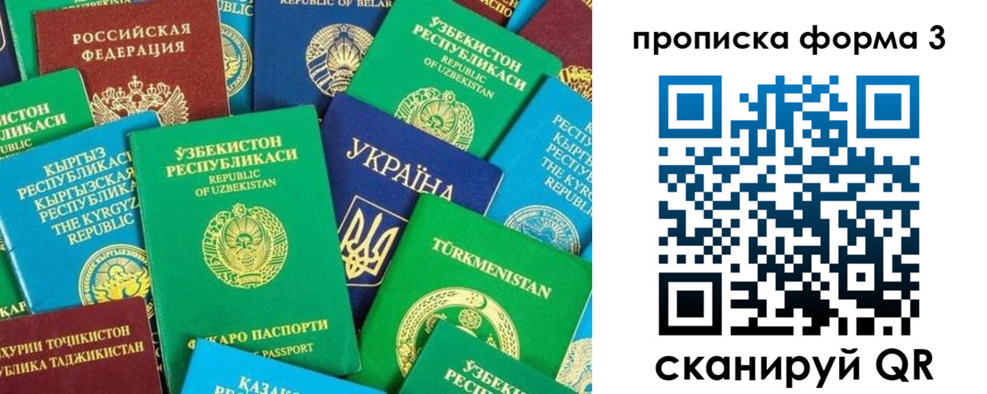 регистрация в Мурманске